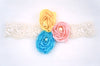 Easter Headband