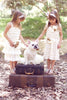 Ivory Sheer Chiffon and Lace Ruffle Dress